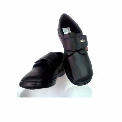 MODELO CC6646-3