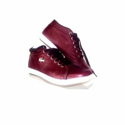 MODELO CY1101