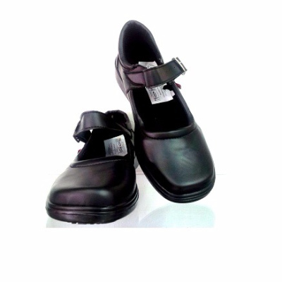 MODELO CC6646-2