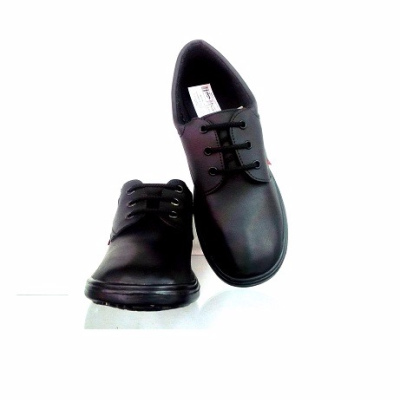 MODELO CC6646-4